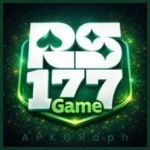RS177 Game
