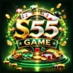 S55 Game