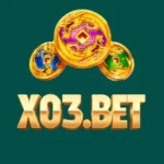 X03 Bet