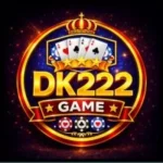 DK222 Game